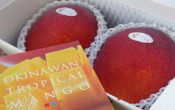 【販売終了】大好評！今年も沖縄産完熟マンゴー完売いたしました！